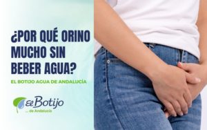 ¿Por Qué Se Orina Mucho Sin Beber Agua? | Blog El Botijo