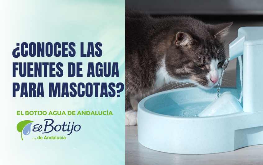 fuentes-agua-mascotas