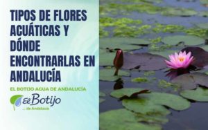 tipos-flores-agua-andalucia